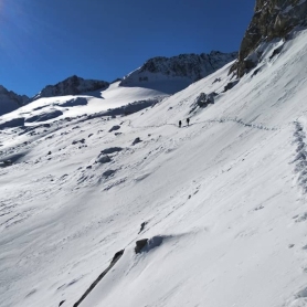 Raquetes de neu amb Guies d'Arrel