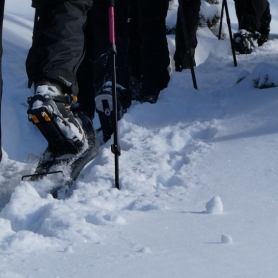 Snowshoeing in the Vall de Núria with Oxineu Mountain Guides