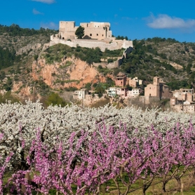 Floració a la Ribera d'Ebre amb Tarvitur Visites Guiades