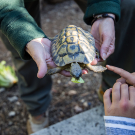 Visit the CRARC, Masquefa