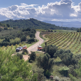 Open-top 4x4 tour and wine tasting with Stress & Adrenaline
