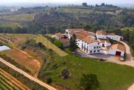 Visita a la bodega con degustación y cata de vinos