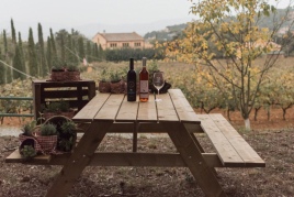 Picnic among vineyards