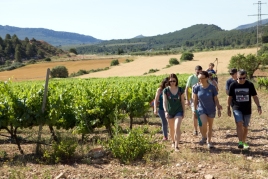 Hike among vineyards in Montblanc