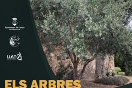 Visita guiada: Los Árboles de Llançà - Un museo al aire libre