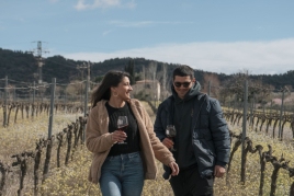 Visit to the vineyards with Premium tasting at the Falset Marçà…