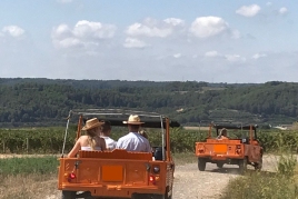 Visitez les vins Cep & Méharis