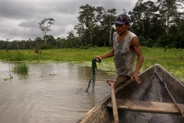 The boa, mother of the waters in the Amazon at the Barcelona…