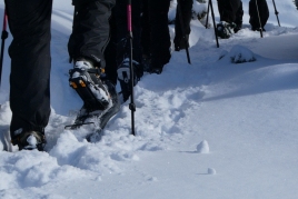 Raquetes de neu a la Vall de Núria amb Oxineu Guies de Muntanya