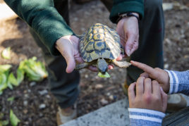 Visita el CRARC, Masquefa