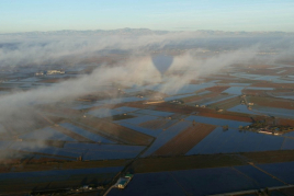 Gaudeix del Delta de l'Ebre i l'Empordà de manera diferent