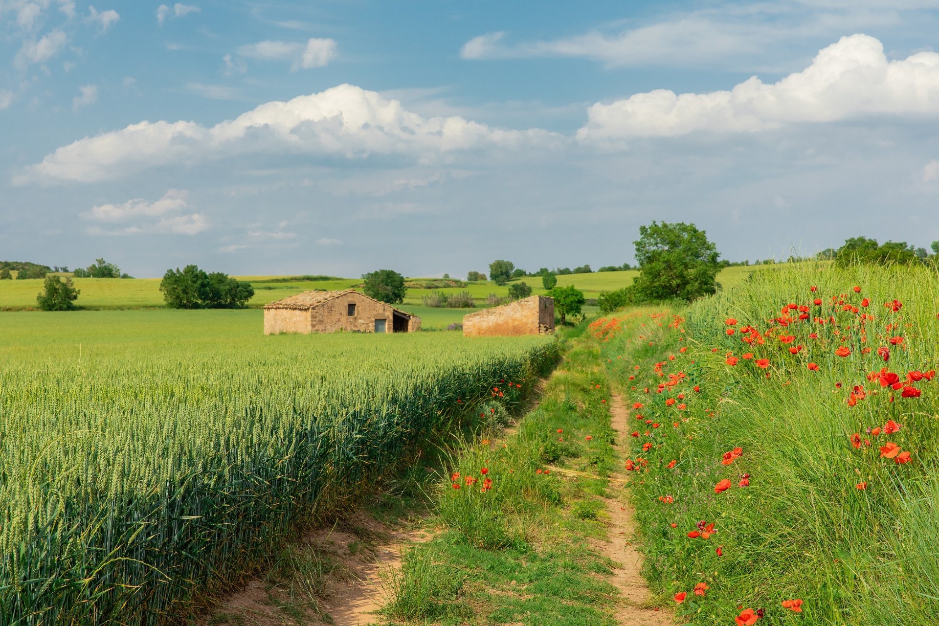 Els Prats de Rei (Els Hostalets De Pierola)