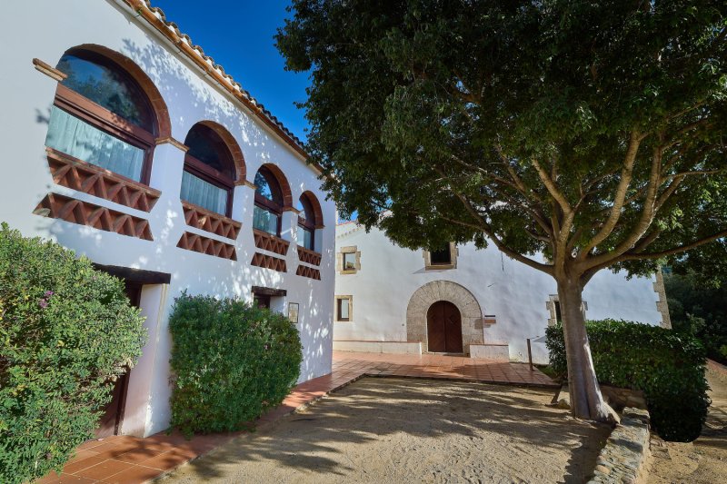 Arenys de Munt (Arenys De Munt Can Borrell 1)