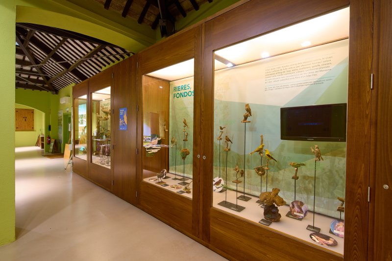 Arenys de Munt (Arenys De Munt Far Collecio De Fauna Vertebrada Jordi Puigduvi)