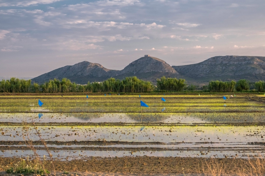 Torroella de Montgrí - L'Estartit (Plana Agricola Montgri)