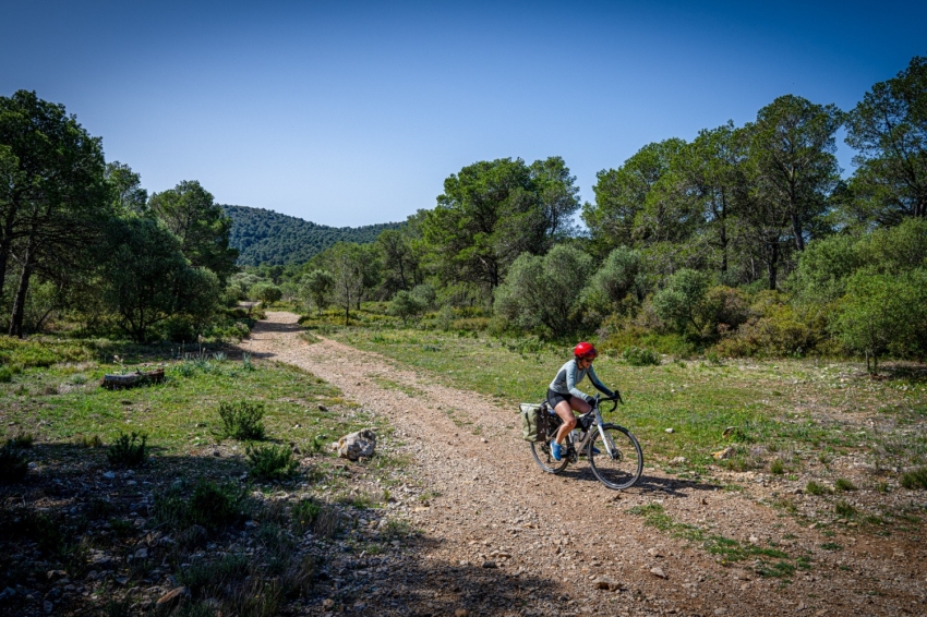 Torroella de Montgrí - L'Estartit (Ciclista)