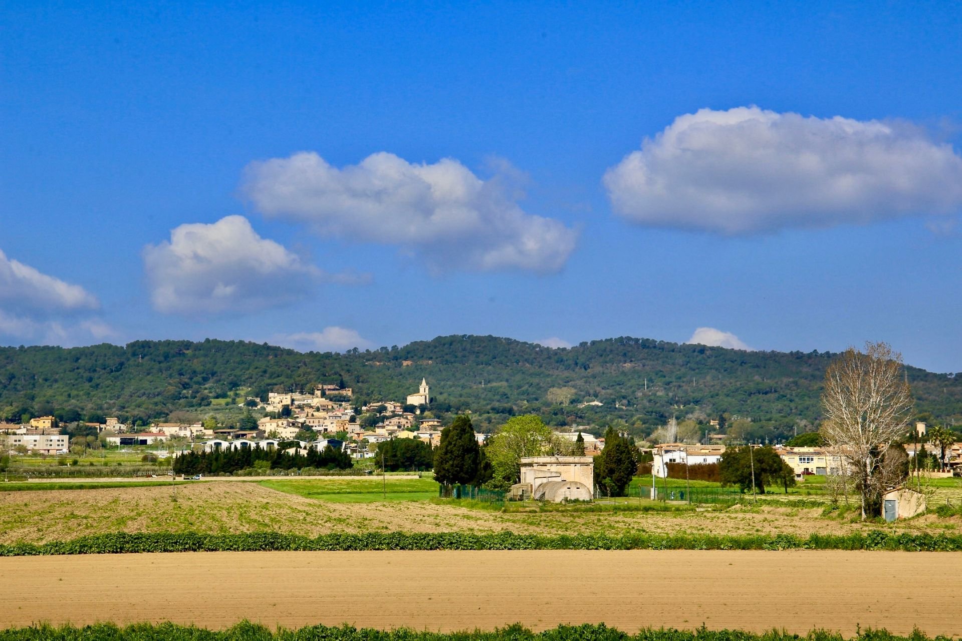 Mont-Ras (Nuvols A Mont Ras. Miquel Galceran Radresa_)