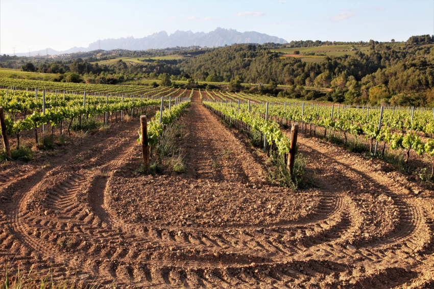 Sant Llorenç dHortons (Sant Llorenc Hortons Vistes)