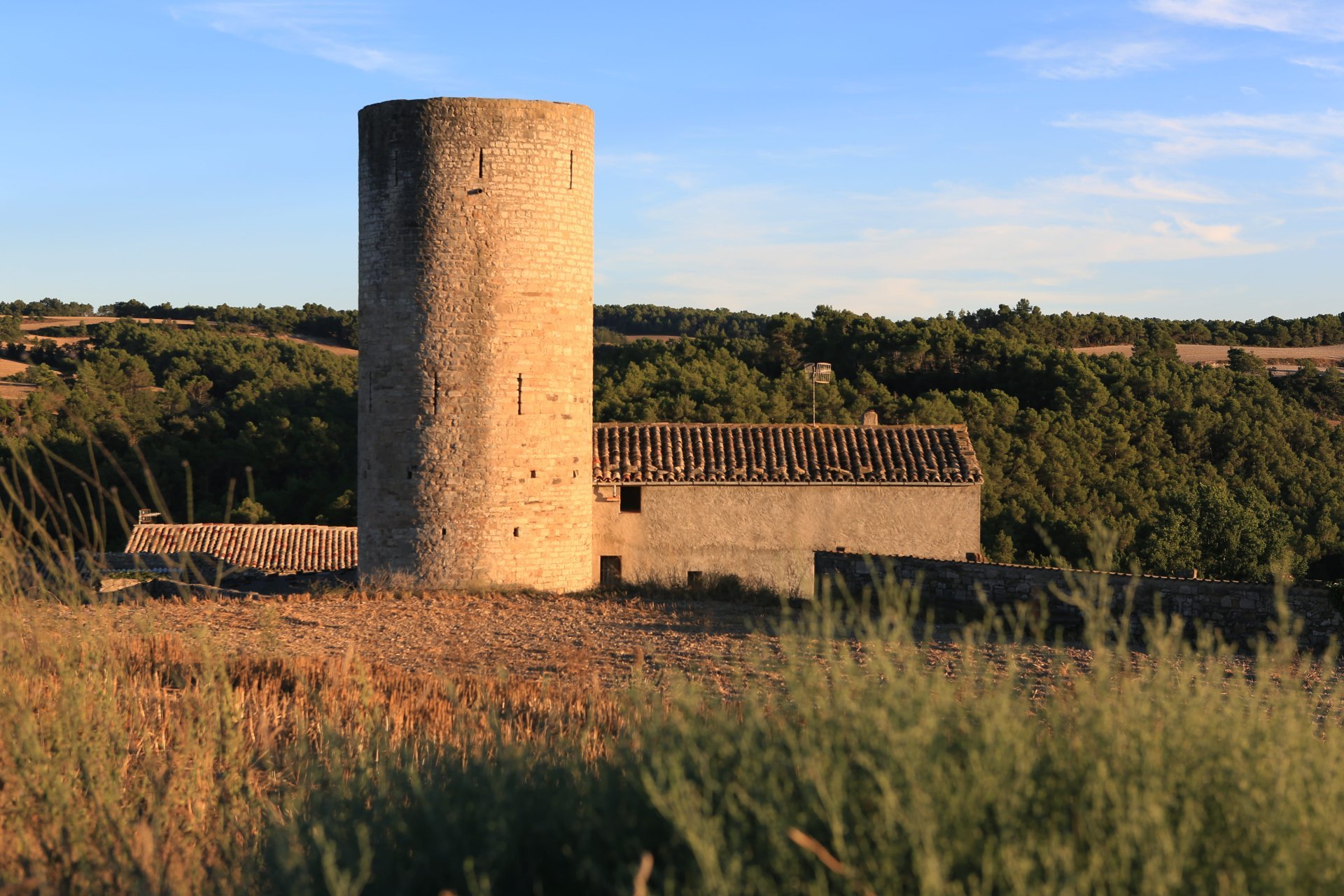 Argençola (Argencola)
