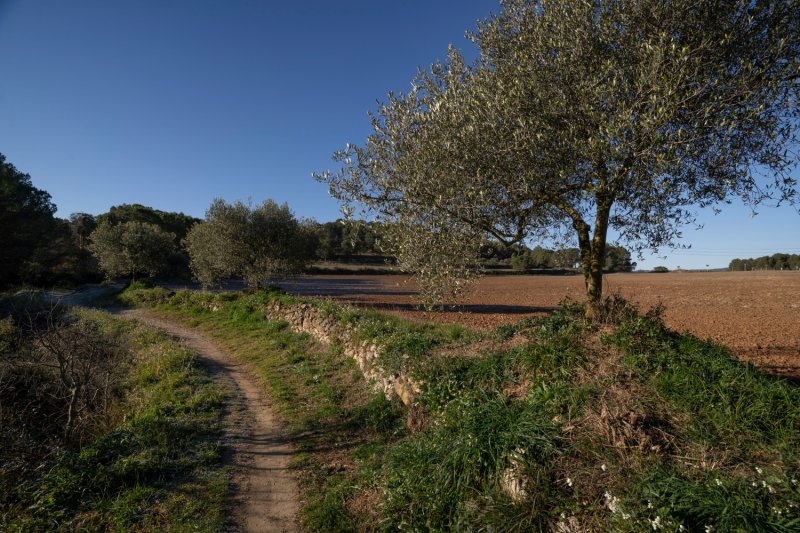 La Torre de Claramunt ( Cami Ral)