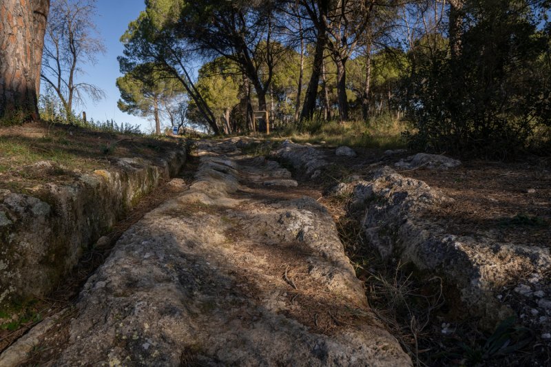 La Torre de Claramunt ( Cami Ral)