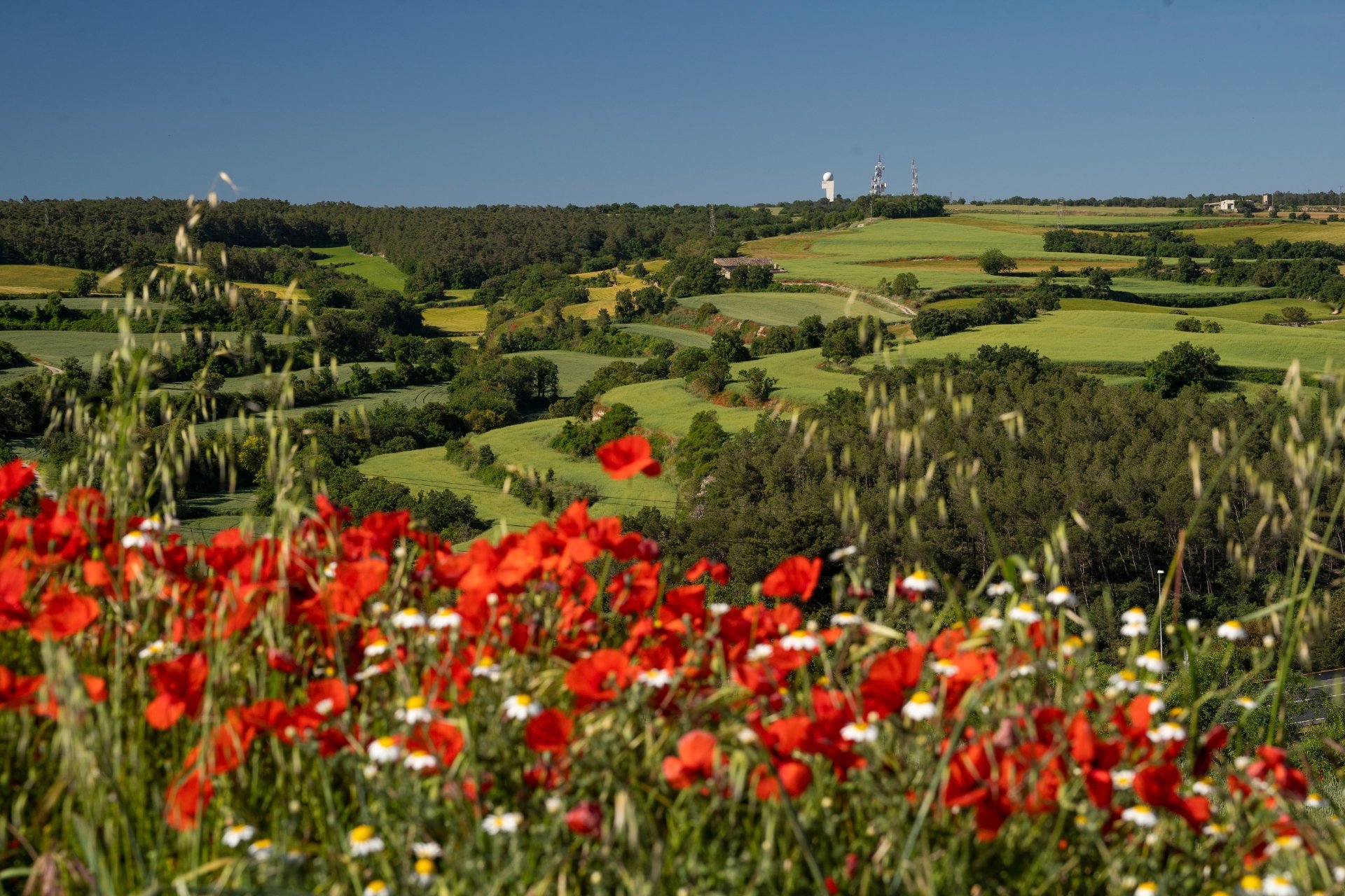 Montmaneu (Montmaneu)