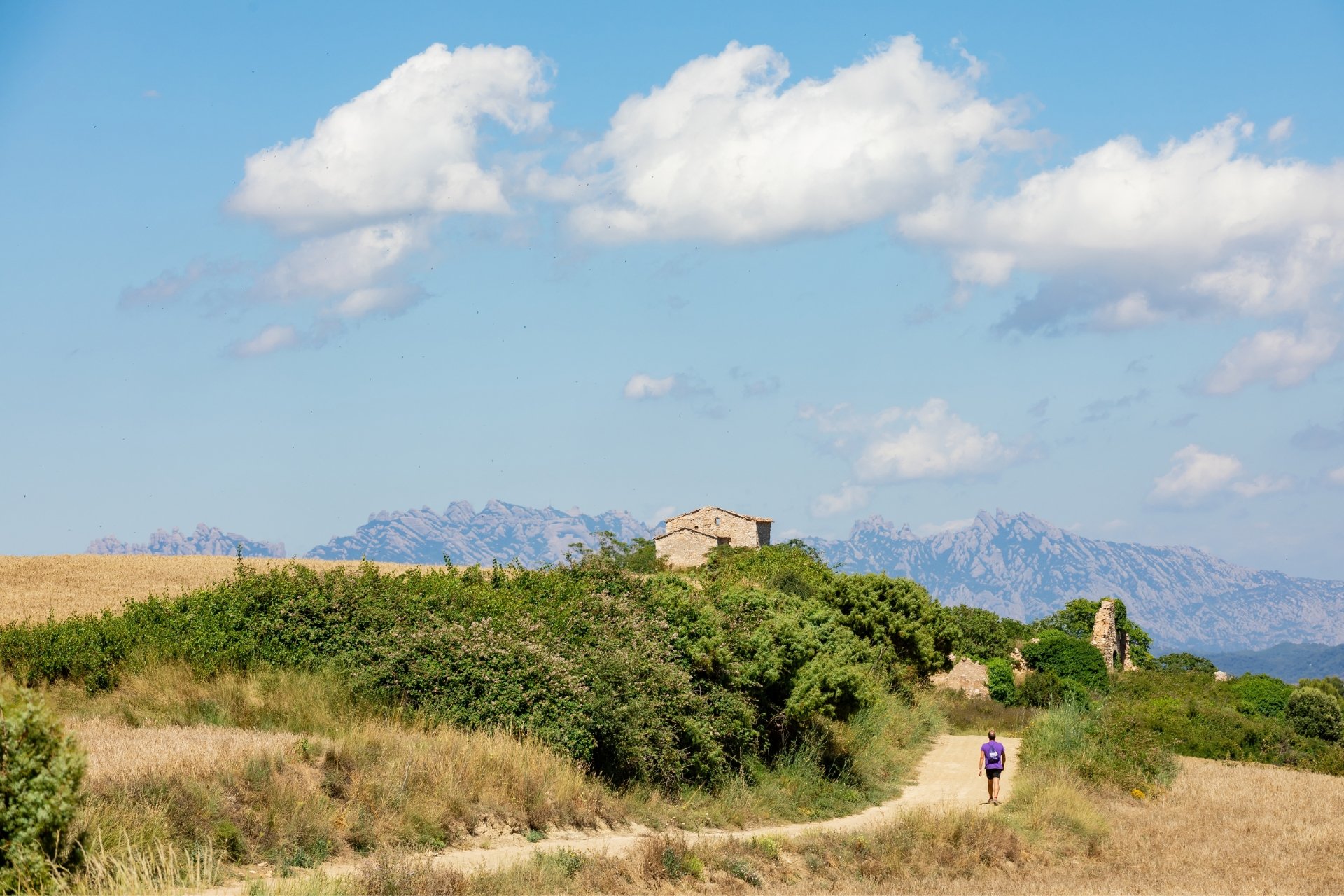 Orpí (Orpi)