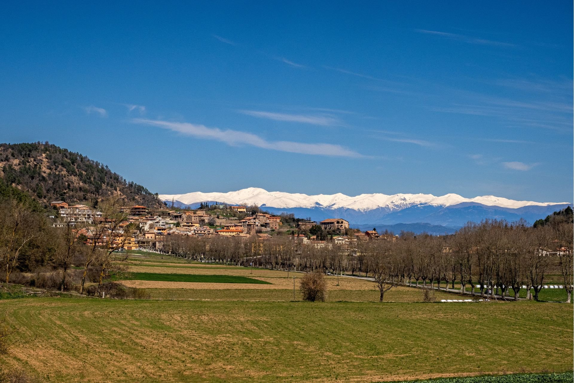 LEstany (Estany Dani Codina)