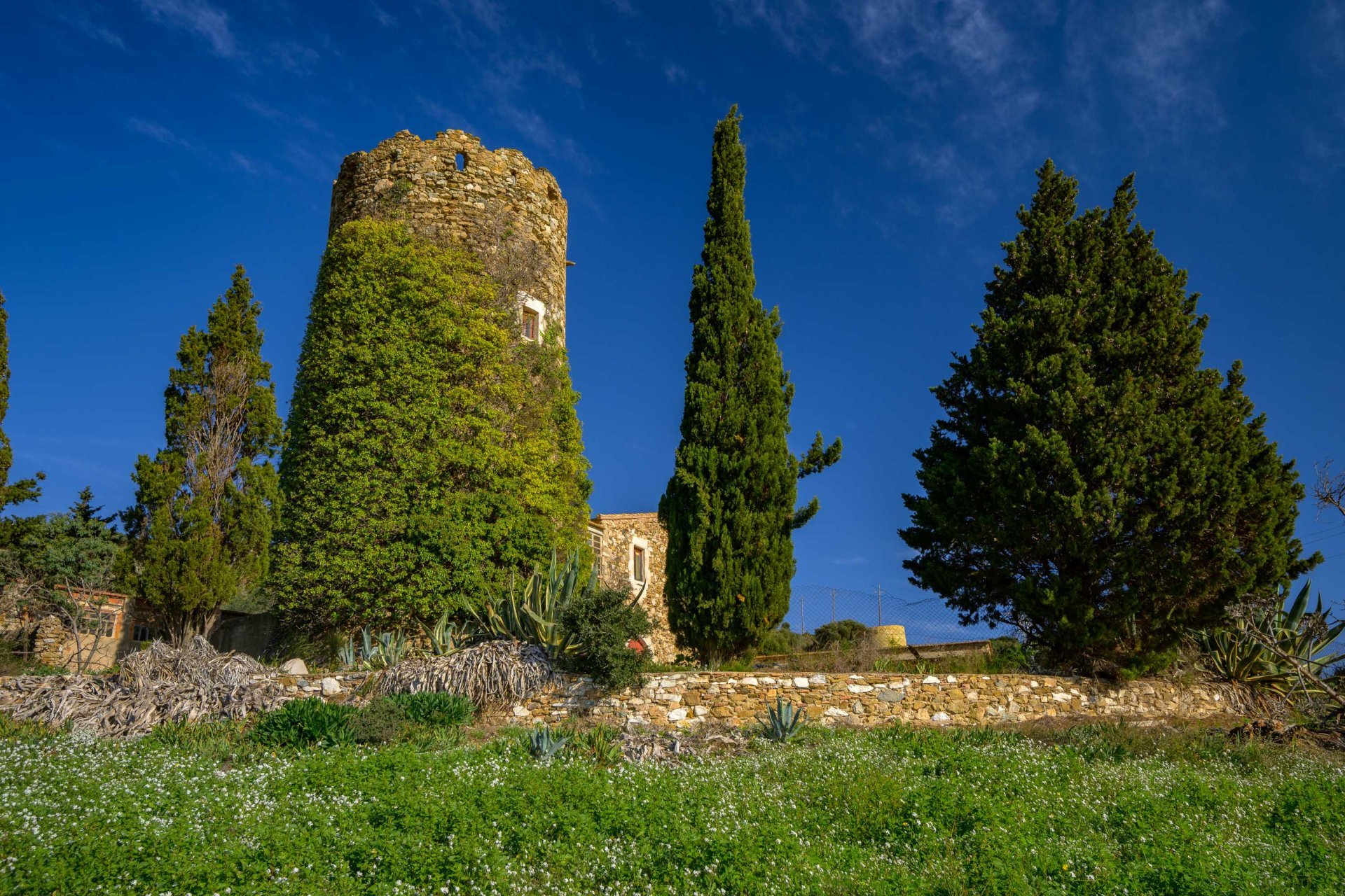 Roses ( Torre Del Sastre Roses)