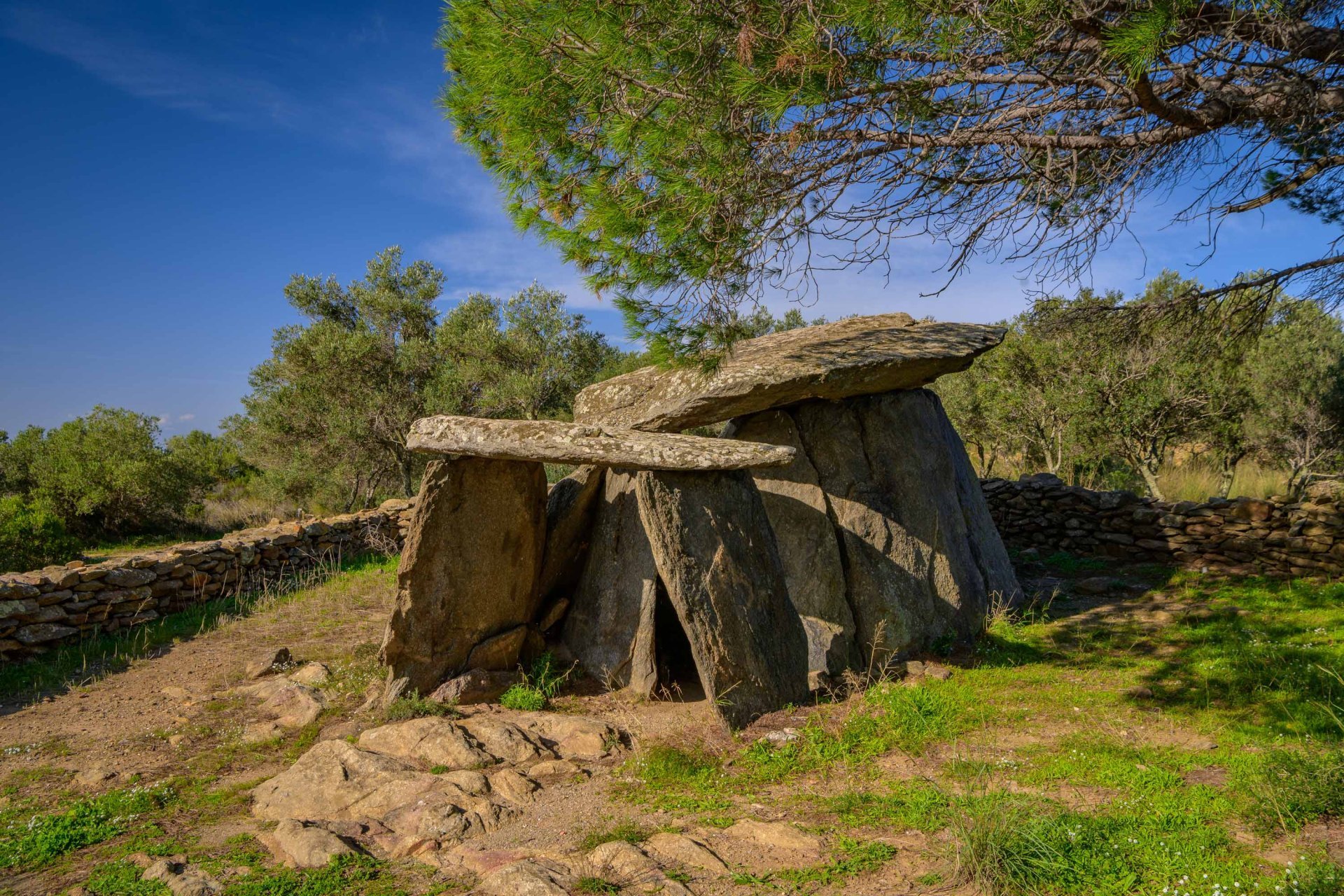 Roses (Conjunt Megalitic De Roses)