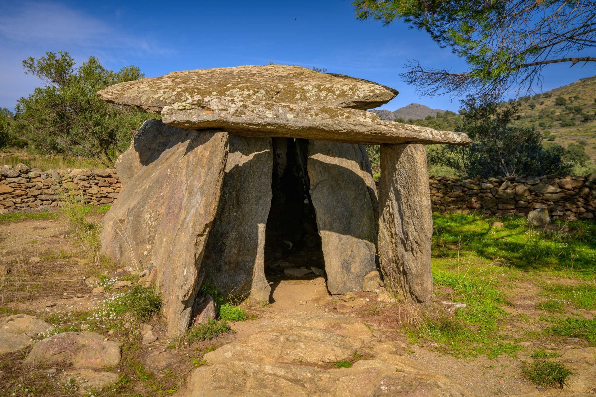 Roses (8conjunt Megalitic De Roses)