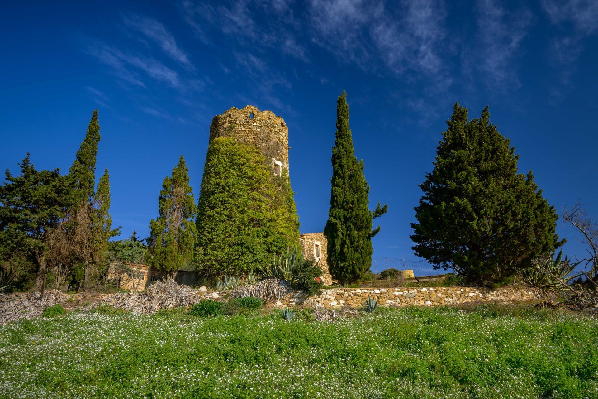 Roses (Torre De Roses)