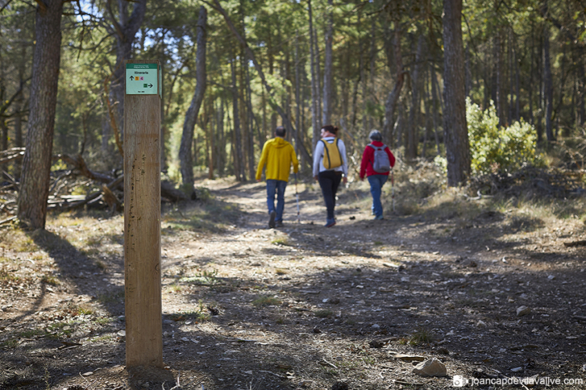 Vallfogona de Riucorb (Vallfogona De Riucorb 06)