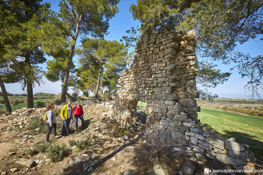 Vallfogona de Riucorb (Vallfogona De Riucorb 17)