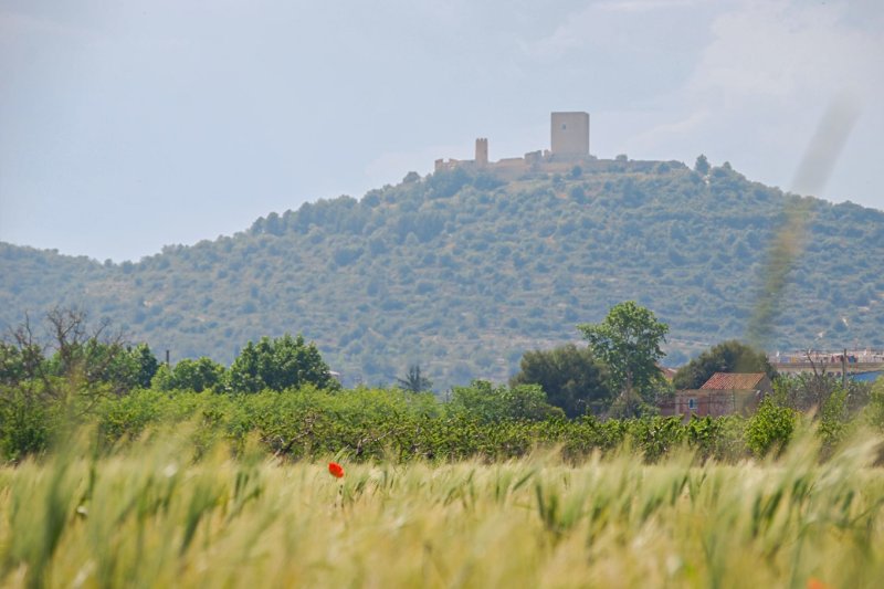 Ulldecona (Ulldecona 03)