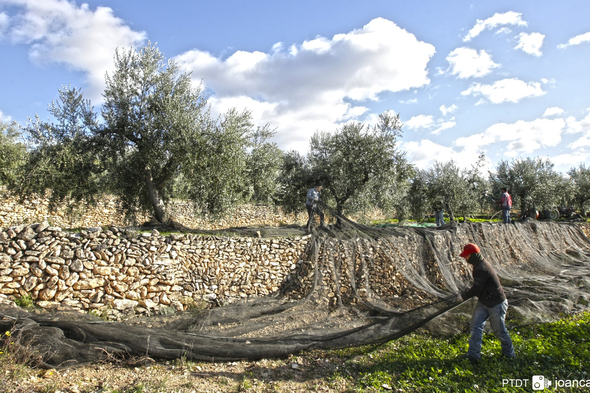 El Masroig (Masroig)