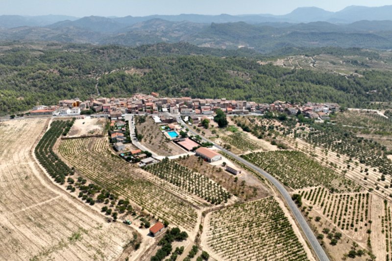 El Molar (25 El Molar)