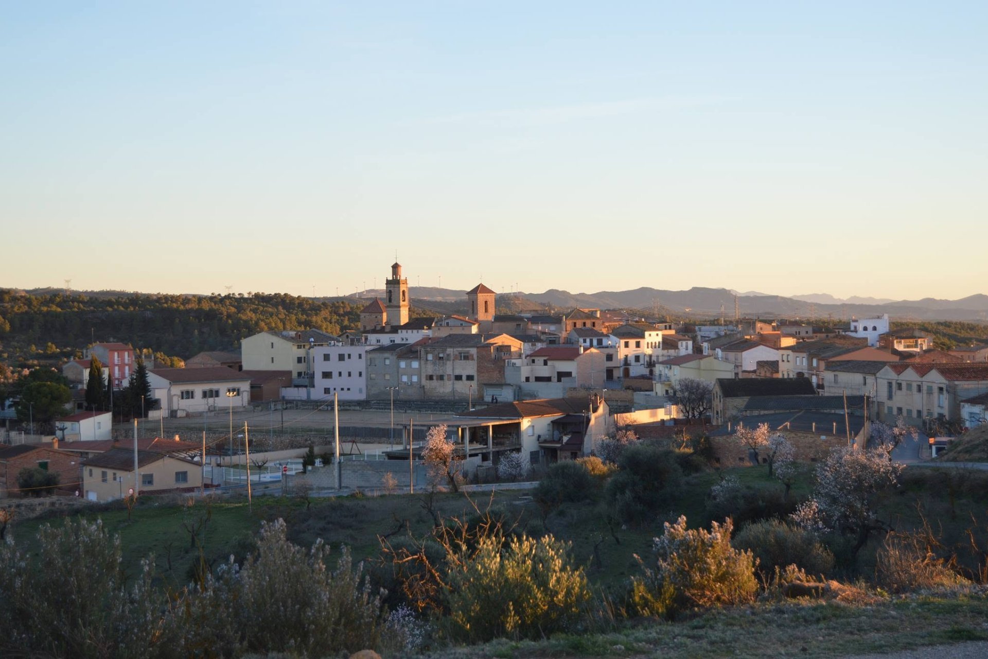 La Palma dEbre (La Palma D Ebre)