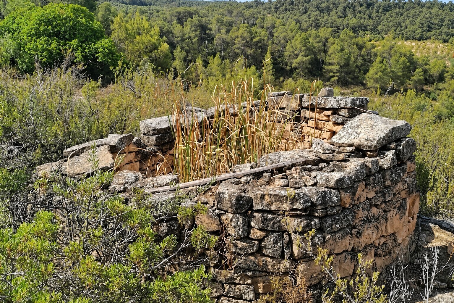 La Palma dEbre (La Palma D Ebre Pedra Seca)