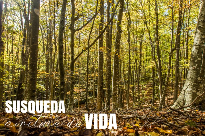 Susqueda (Postals_susqueda3_autor Marc Juanola)