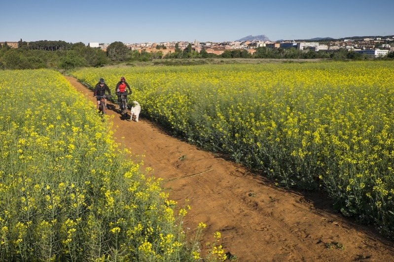 Sant Cugat del Vallès (03 P Collserola Aj Sant Cugat Mane Espinosa)