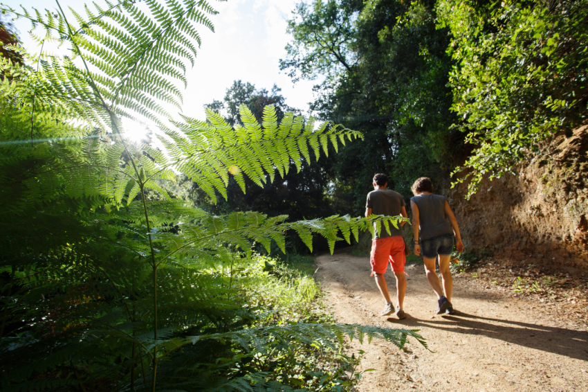 La Garriga (Natura_ladoma)