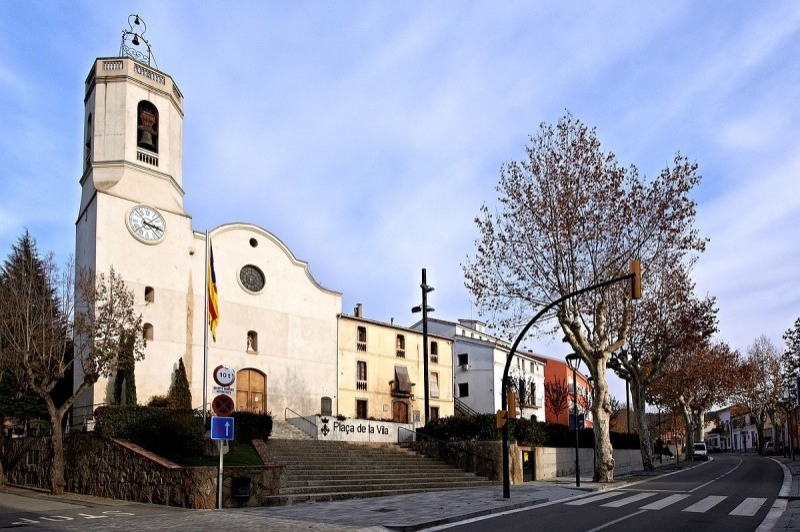 Vallgorguina (Vallgorguina)