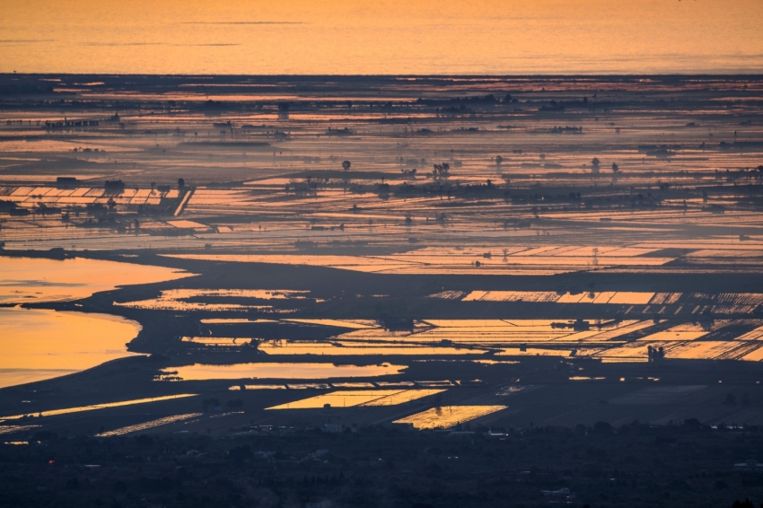 Ebro Delta, nature in its purest form