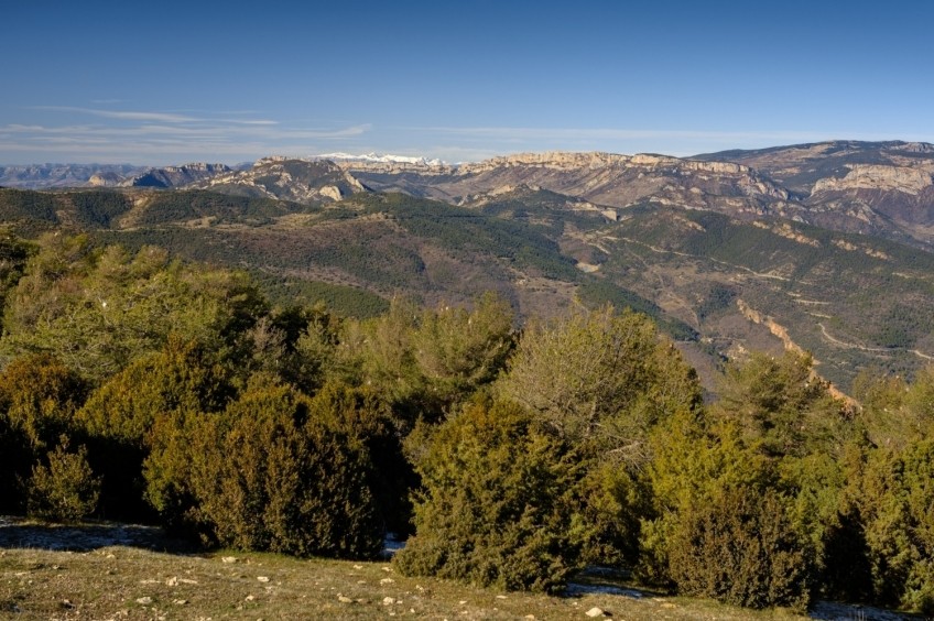 Le Coscollet d'Aubàs (Sierra de Aubenç)
