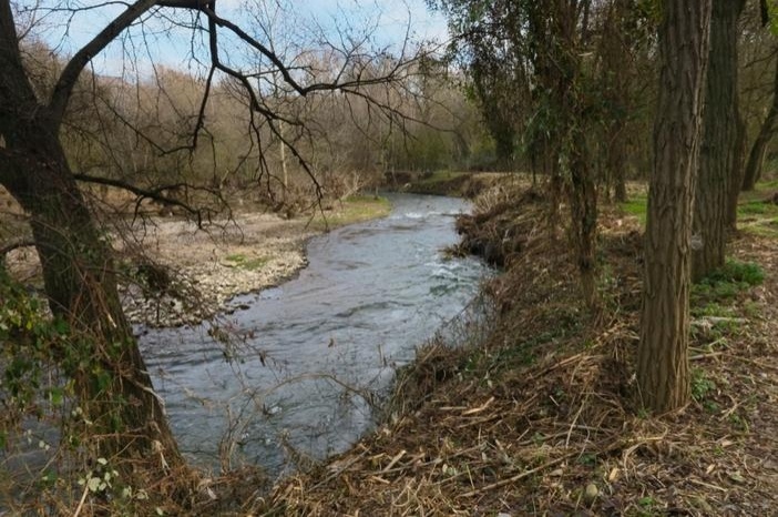 Ruta ambiental pel riu Cardener de Súria