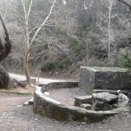 Paradise Forest in La Llacuna