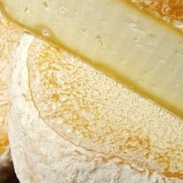 El formatge del Montsec