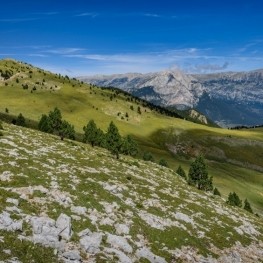 La Gallina Pelada de Font Freda (Sierra de Ensija)