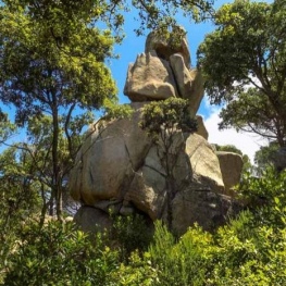 Un viaje a la prehistoria por Ardenya-Cadiretes, en Tossa de&#8230;